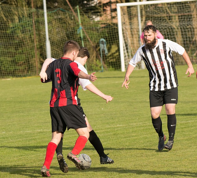 当两名核心 当两名核心