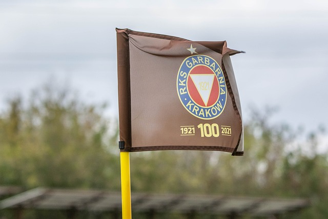 更多的社会 更多的社会