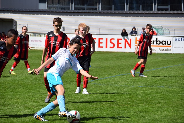 有力地证明 有力地证明