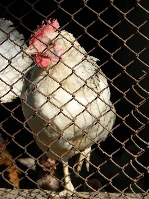 西甲：莱加内斯以2比3 输给贝迪斯.